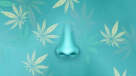 Fast jeder zweite Deutsche empfindet den Geruch von Cannabis als unangenehm.