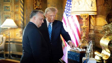 Orban und Trump treffen sich privat in Trumps Anwesen Mar-a-Lago. 
