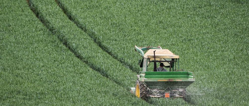 Furchen im Feld. Mit dem Düngerstreuer am Traktor fährt ein Landwirt im Main-Kinzig-Kreis durch noch grünes Getreide.
