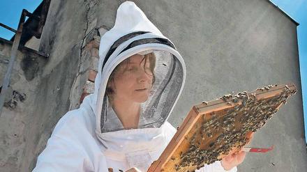 Erika Mayr mit ihren Bienen auf einem Dach in Kreuzberg. Insgesamt leben rund 4500 Bienenvölker in Berlin. 