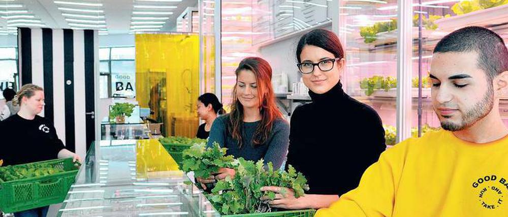 Frisch geerntet: Gründerin des Restaurants "Good Bank" Ema Paulin (mitte) mit Babygrünkohl, der in den Indoorfarmen angebaut wurde.