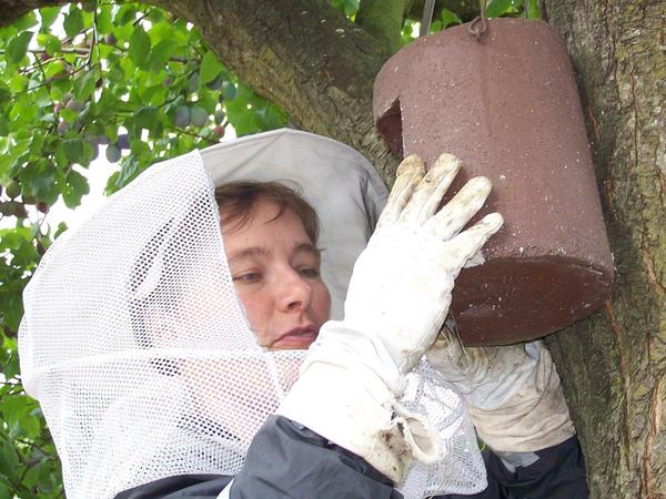 Melanie von Orlow verlegt Nester von Insekten - um Mensch und Tier zu schützen.