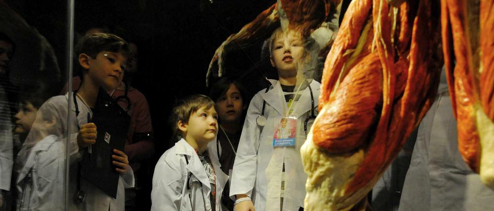 Staunen über die spannenden Geheimnisse des menschlichen Körpers: Kinder bei einer Führung durchs MenschenMuseum. 
