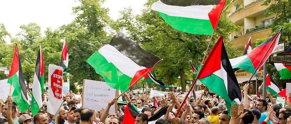 Bei einer Demo gegen den Gaza-Krieg im Juli 2014 werden Palästina-Fahnen geschwenkt.