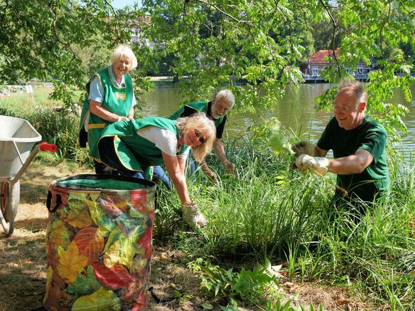 Bewährte Teamarbeit: Die "Bürger für den Lietzensee" in Charlottenburg pflegen den Lietzenseepark seit vielen Jahren regelmäßig. 