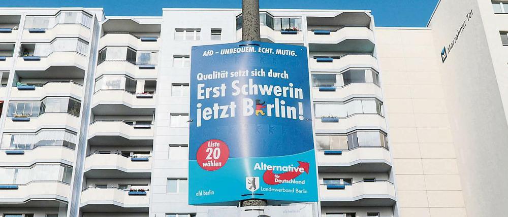 Wahlplakate der AfD hängen an einer Straßenlaterne.
