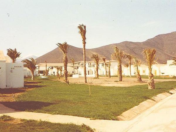 Club Aldiana 1983. Damals waren die Palmen noch kurze Strünke.