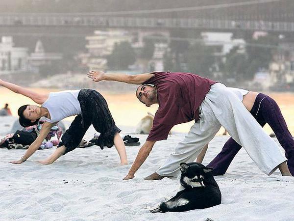 Touristen machen Yoga. Rishikesh wurde zur Lieblingsdestination westlicher Erleuchtungssucher.