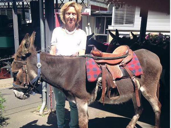 Die Autorin heute mit Donna, einem Esel der Familie Muhr. Reiten darf sie nicht mehr, das ist nur noch Kindern erlaubt.