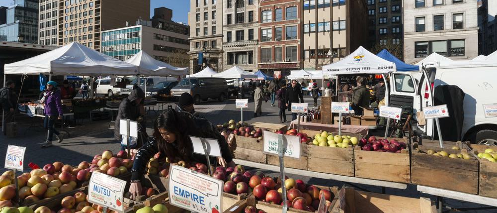 Greenmarket am Union Square. Hier kaufen New Yorker gern ihr frisches Obst und Gemüse ein.
