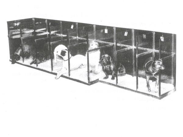 Hundesitter-Boxen in einem Berliner Kaufhaus, Mitte der 30er Jahre. Hier konnte man sein Tier abgeben, um ohne Gezerre shoppen zu gehen. 