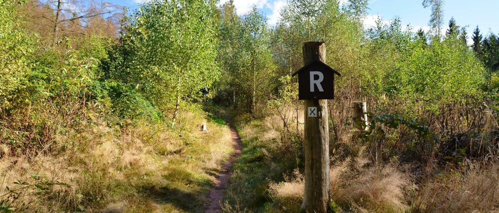 Immer dem "R" folgen: Über 169,29 Kilometer führt der Rennsteig-Wanderweg
