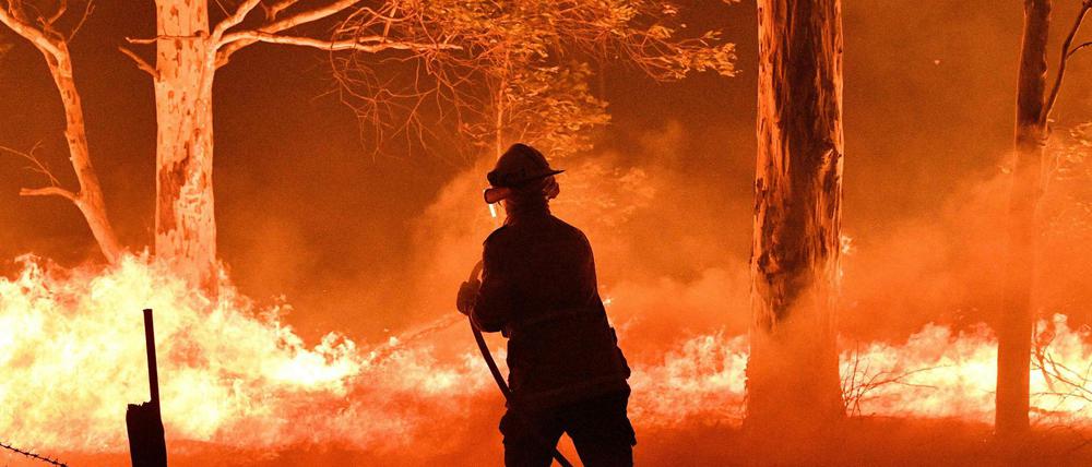 Kampf gegen das Feuer in Australien nahe Nowra 