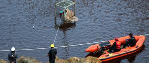 Ein Taucher wird in einem Baggersee unter Wasser gelassen, um dort nach weiteren Leichenteilen zu suchen. 