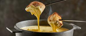 Dipping toasted bread into a hot cheese fondue dripping from the forks in a close up view on a dark background with steam