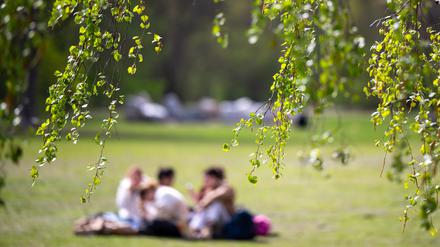 Junge Menschen sitzen beim sonnigen Wetter auf dem Rasen im Tiergarten. 