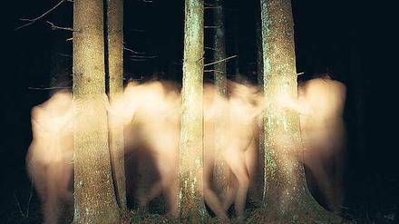 Unter Bäumen. Bild ohne Titel aus Margot Wallards Serie „Natten“. 