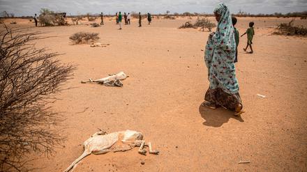 Die höchste Hunger-Alarmstufe gilt unter anderem in Somalia (Symbolbild).