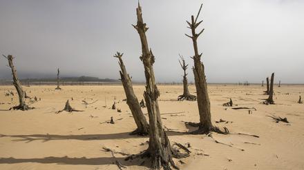 Die Wasserkrise in Folge der schlimmsten Dürre seit über hundert Jahren spitzt sich in Südafrikas Touristenmetropole Kapstadt zu. Der für die Versorgung wichtige Speichersee Theewaterskloof und andere Reservoire sind fast leer. 