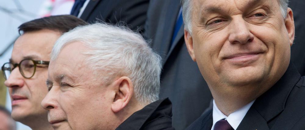 Kuschelkurs? Ungarns Ministerpräsident Viktor Orban (r.) und Jaroslaw Kaczynski haben gut lachen.