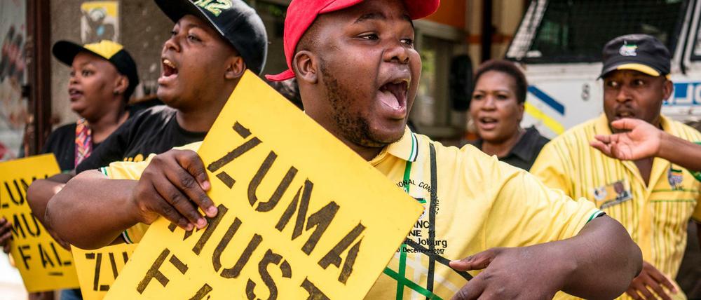 Zuma soll gehen - das fordern Demonstranten schon lange. 