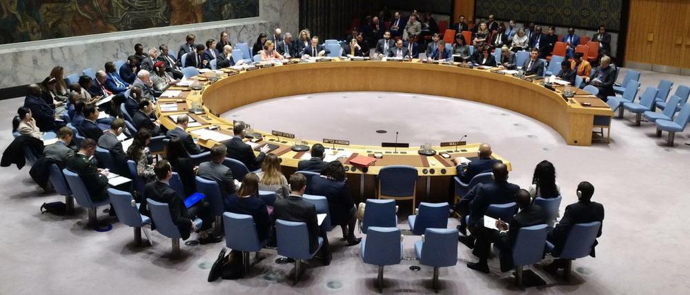 Der UN-Sicherheitsrat bei einer Sitzung im März.