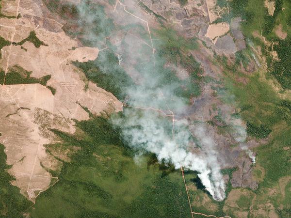 Das Satellitenbild zeigt die Brände in den betroffenen Regionen in dem brasilianischen Bundesstaat Mato Grosso. 
