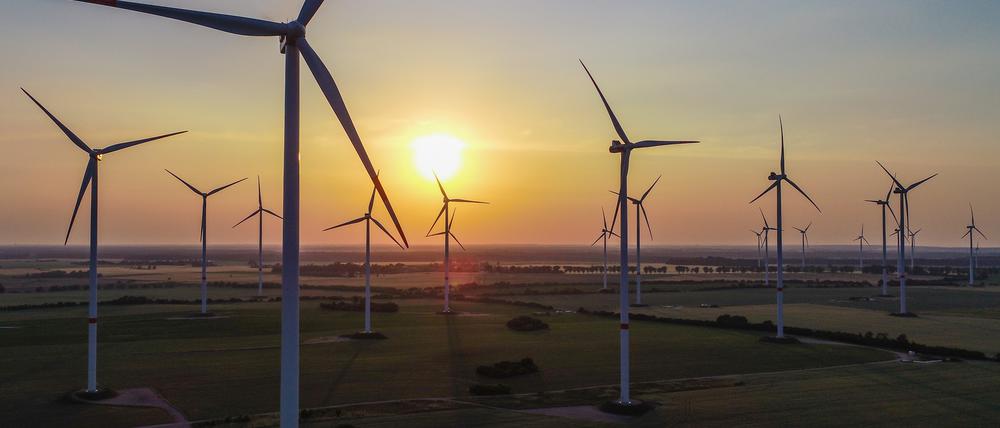 Brandenburg gehörte im ersten Halbjahr 2021 zu den Spitzenreitern beim Ausbau der Windkraft.