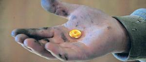 Edler Klumpen in der Hand eines Minenarbeiters aus der Mongolei. Das meiste Gold wird allerdings in Südafrika gefördert. Foto: Reuters