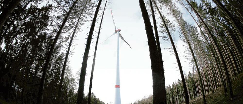 Energiebaum. Ein Windrad steht im Wald Peterberg bei Vossenack. Auch in Nordrhein-Westfalen ist der Bau von Windrädern in Wäldern umstritten.