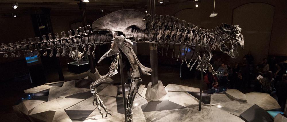 Tyrannosaurus rex "Tristan" im Naturkundemuseum in Berlin