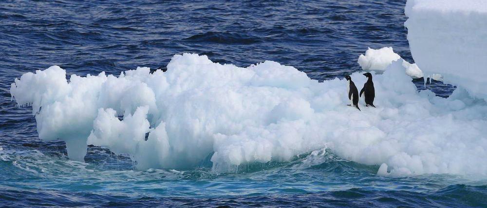 Das Abschmelzen des Eispanzers am Südpol hat sich beschleunigt. 