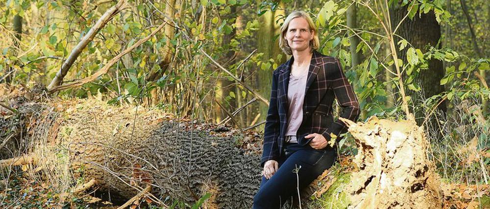 Mit Technologien der Fernerkundung erforschen Birgit Kleinschmit und ihr Team den Wald. Sie berät die Bundesregierung zum klimaangepassten Umbau.