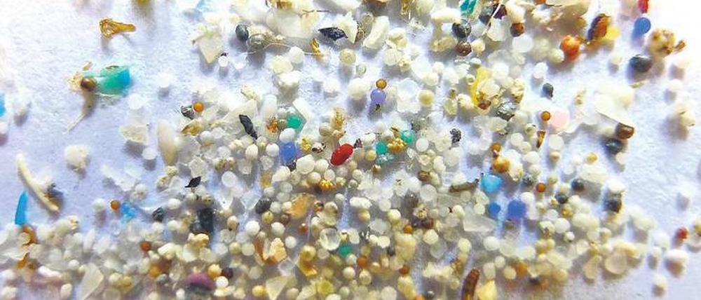 Anziehend. Welche Risiken von Mikroplastik in Gewässern ausgehen, beginnen Forscher gerade erst herauszufinden. In Hamburg, Bremen und Warnemünde wird seine Anziehungskraft auf Mikroorganismen untersucht – und mögliche Folgen. 