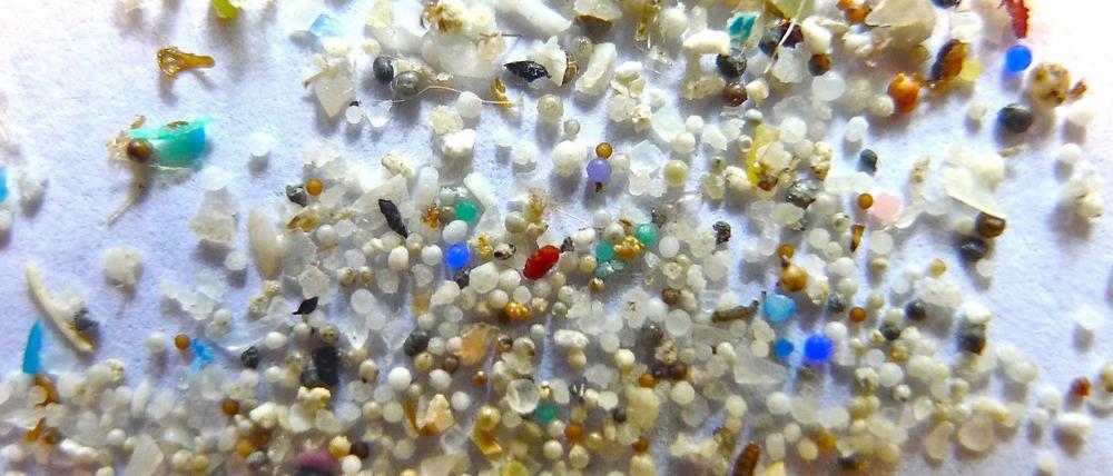 Müllpartikel. Das Foto zeigt Mikroplastikkügelchen mit einer Größe von unter 5 Millimetern. Diese Partikel werden oft von Fischen und anderen Meeresbewohnern aufgenommen. 