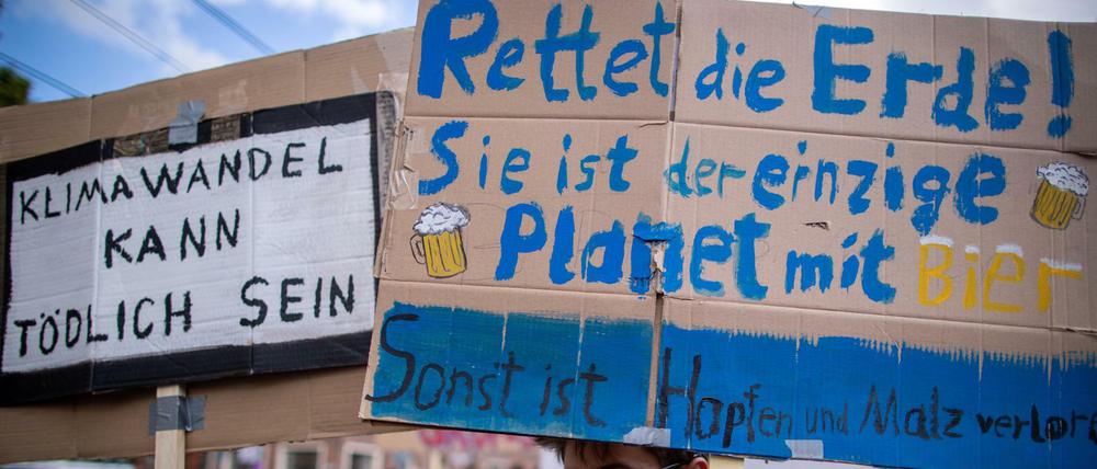 Bei "Fridays for Future" demonstrieren Bürger für mehr Klimaschutz. Und unter bestimmten Bedingungen sind sie auch bereit, über eine CO2-Steuer dazu beizutragen, so das Ergebnis einer Schweizer Studie.