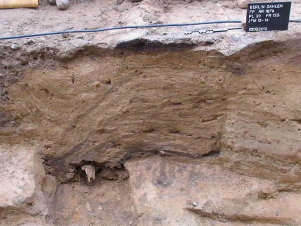 Auch hier im Bild das Profil einer Grube, mit schräg nach links abfallenden Schichten. Die Aufnahme wurde vor Ausgrabung des Befunds gemacht.